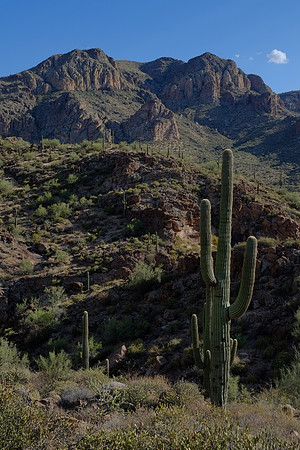Apache Trail view