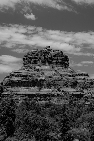 Bell portrait BW