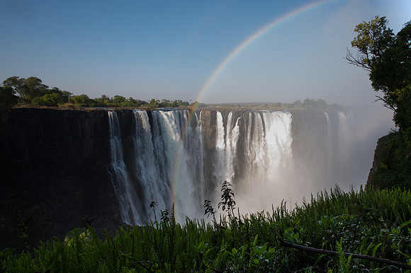 Africa 2015--19