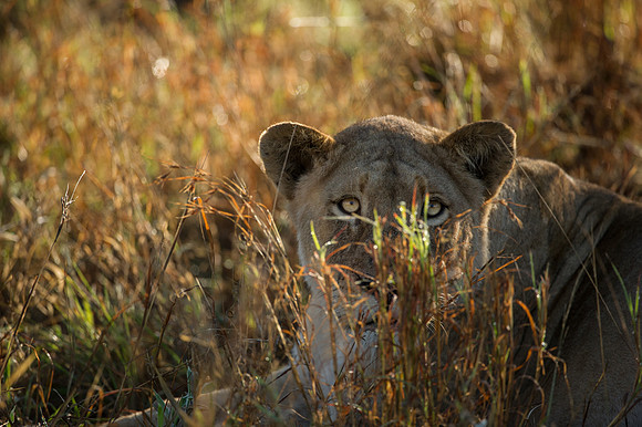 Africa 2015-2-2