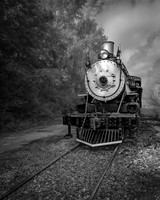 Texas State Railroad