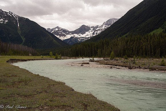 The Road to Yoho