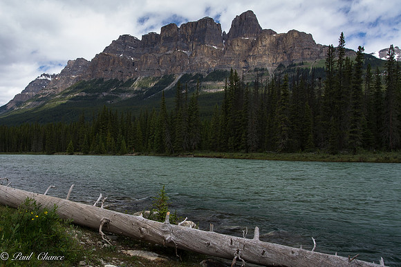 Castle Mt from the Bow River