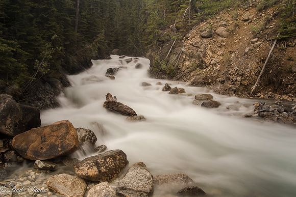 random stream 1