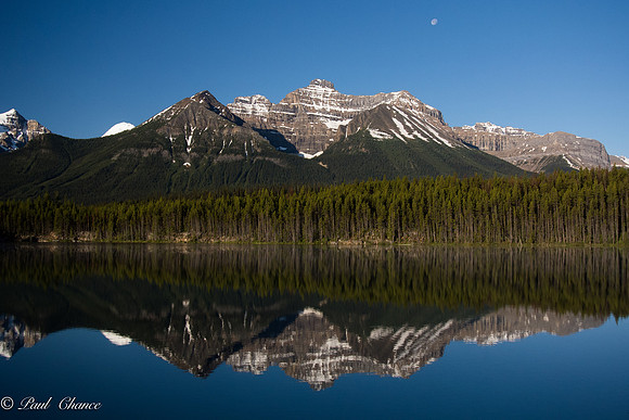 Herbert Lake