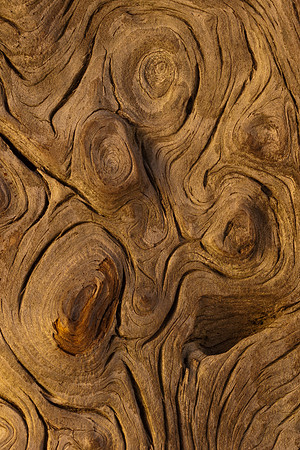 Pattern in the wood 3