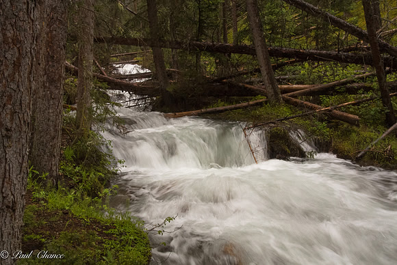 Silverton Stream
