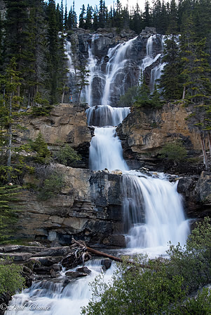 Tangle Falls 1
