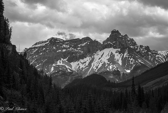 View from the road bw