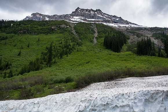 Snow Bank on Road